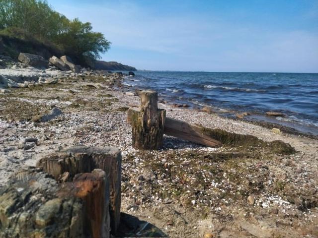 Gdynia Apartament Torpedownia Bagian luar foto